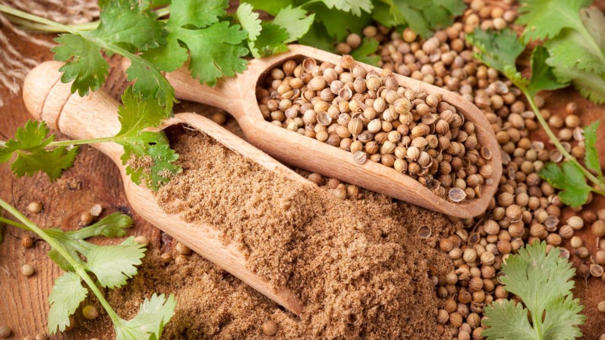 Koriandri: The Love-It-or-Hate-It Herb Dividing the Culinary World