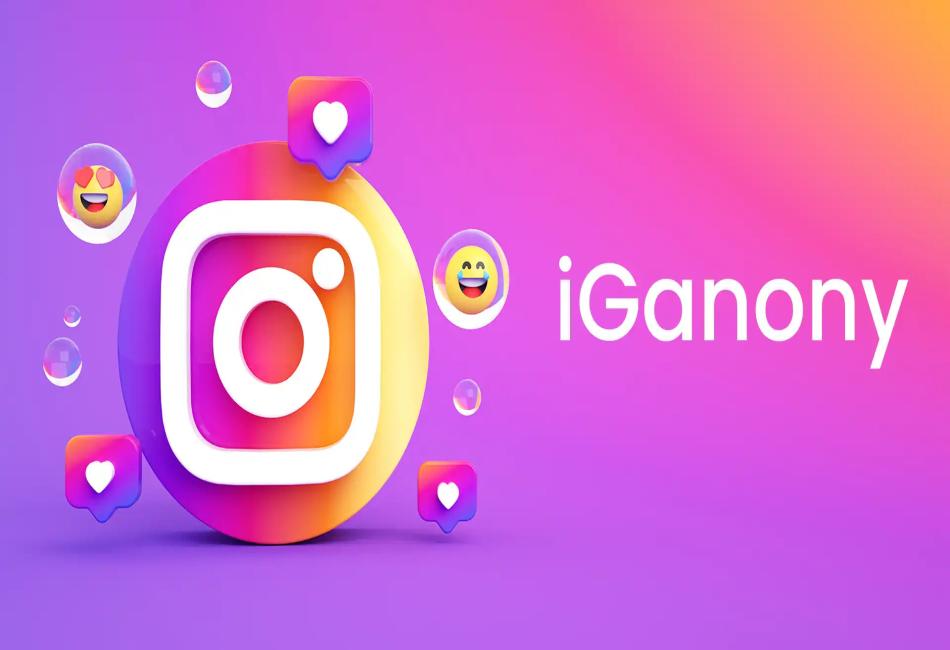 The Rise of Iganony: A Tool for Anonymous Instagram Browsing