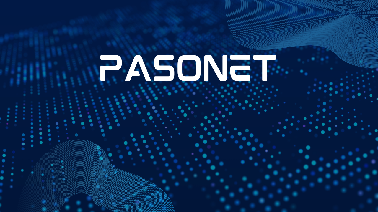 Pasonet: Benefits, Drawbacks, and User Experience